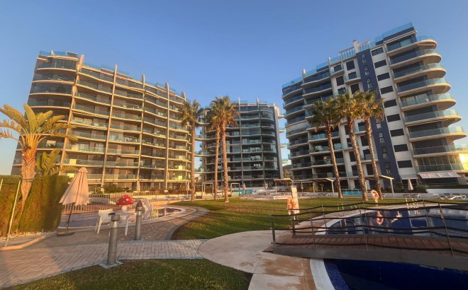 Revente - Appartement -
Punta Prima - Costa Blanca