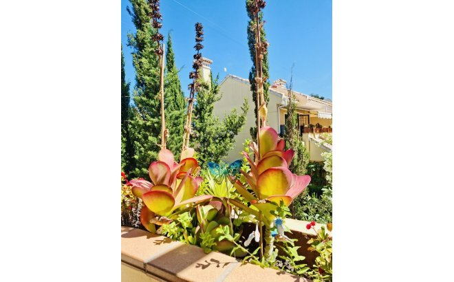 Resale - Apartment -
Orihuela Costa - Costa Blanca