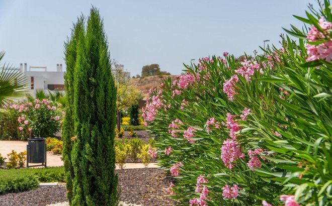 New Build - Ground Floor Bungalow -
Orihuela - Vistabella Golf