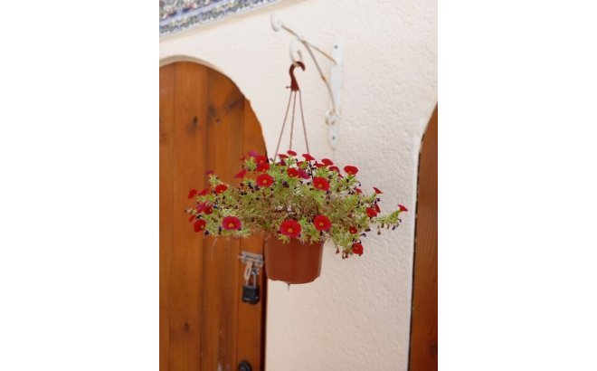 Resale - Villa -
Villamartin - Costa Blanca