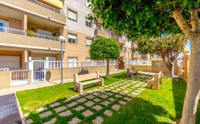 Herverkoop - Appartement -
Torrevieja - Costa Blanca