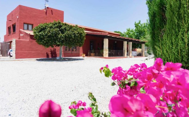 Resale - Finca -
Torremendo - Costa Blanca