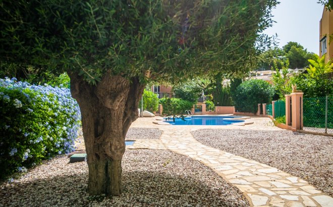 Revente - Villa -
Torrevieja - Costa Blanca