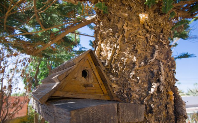 Resale - Villa -
La Siesta - Costa Blanca