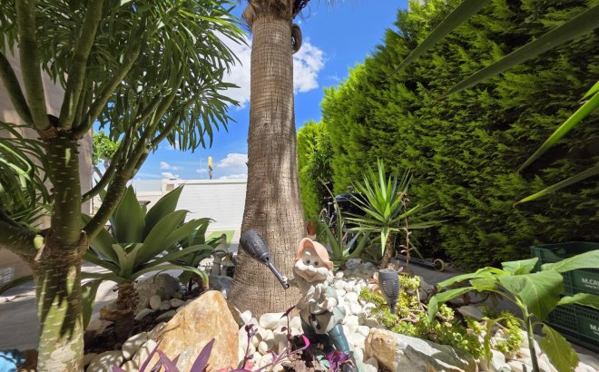 Resale - Villa -
Pilar de la Horadada - Zona Pueblo