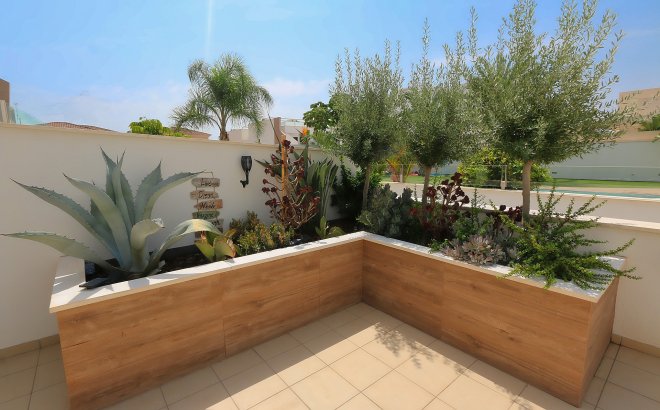 Herverkoop - Appartement -
Pilar de la Horadada - Costa Blanca