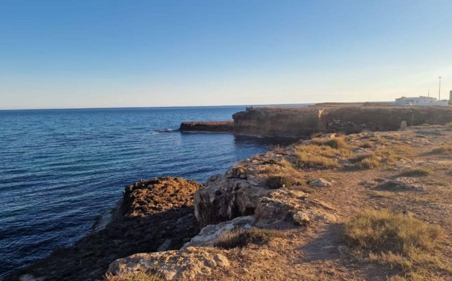 Resale - Apartment -
Torrevieja - Playa de los Locos