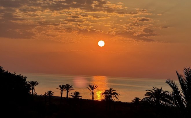 Resale - Penthouse -
San Miguel de Salinas - Inland