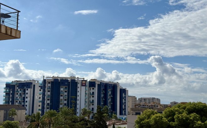 Resale - Apartment -
Torrevieja - Costa Blanca