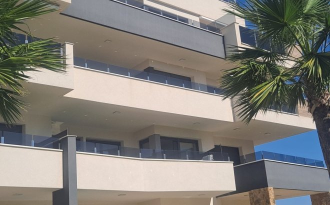 Resale - Apartment -
Playa Flamenca - Costa Blanca