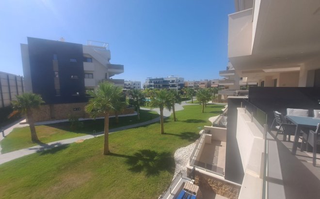 Resale - Apartment -
Playa Flamenca - Costa Blanca
