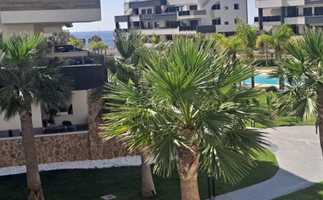 Resale - Apartment -
Playa Flamenca - Costa Blanca