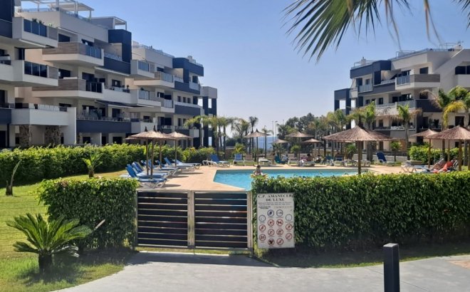 Resale - Apartment -
Playa Flamenca - Costa Blanca