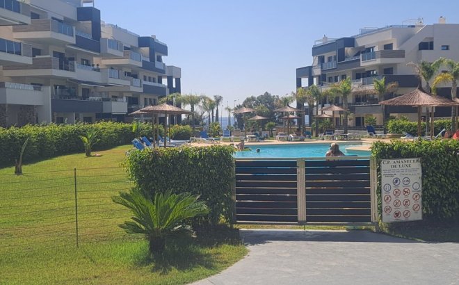 Resale - Apartment -
Playa Flamenca - Costa Blanca