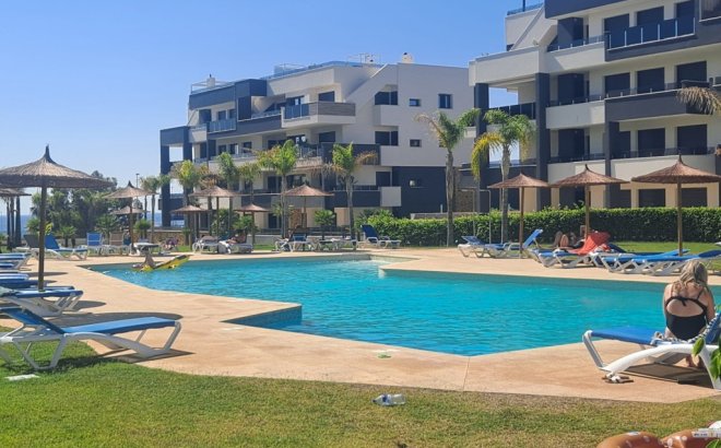 Resale - Apartment -
Playa Flamenca - Costa Blanca