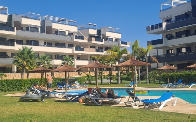 Resale - Apartment -
Playa Flamenca - Costa Blanca