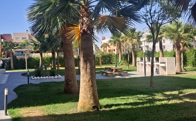 Resale - Apartment -
Playa Flamenca - Costa Blanca