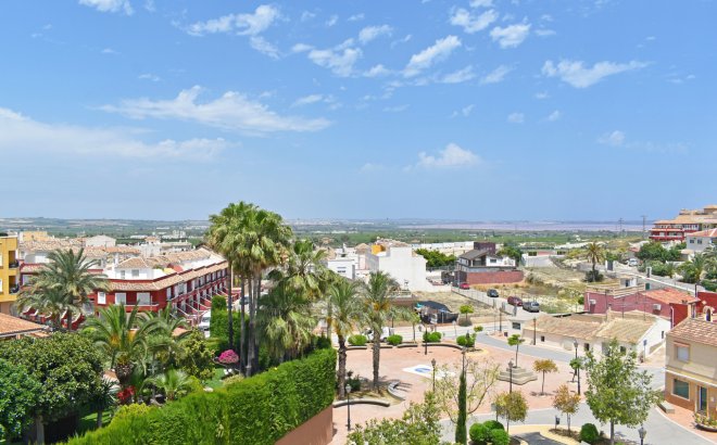 Resale - Commercial -
San Miguel de Salinas - Inland