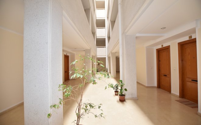 Resale - Apartment -
La Mata - Costa Blanca