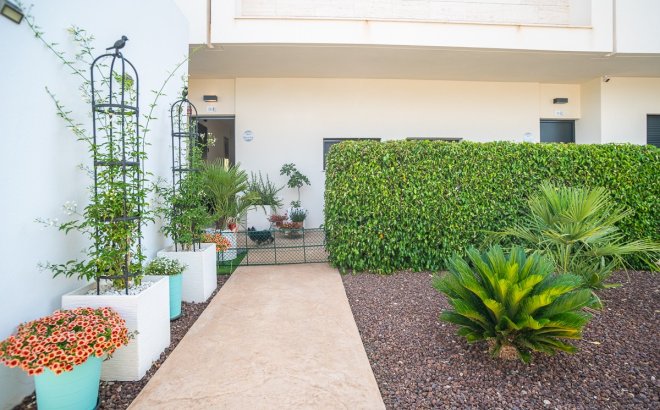Resale - Apartment -
Pilar de la Horadada - Costa Blanca