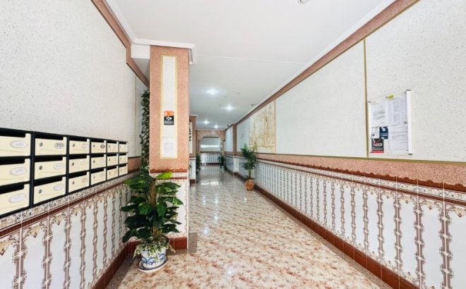 Herverkoop - Appartement -
La Mata - Costa Blanca