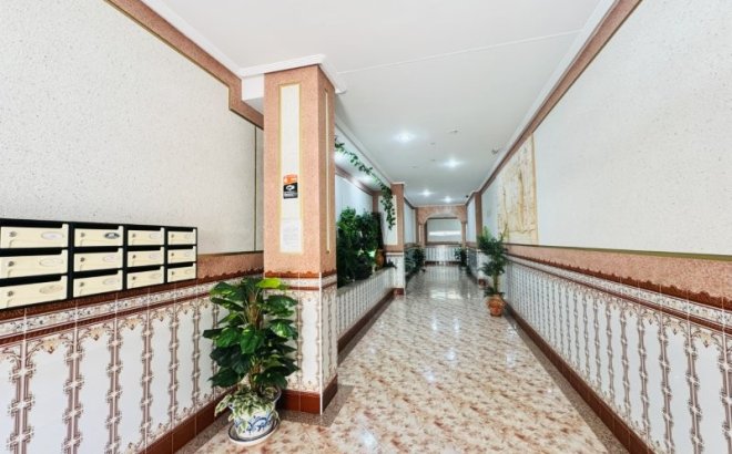 Herverkoop - Appartement -
La Mata - Costa Blanca