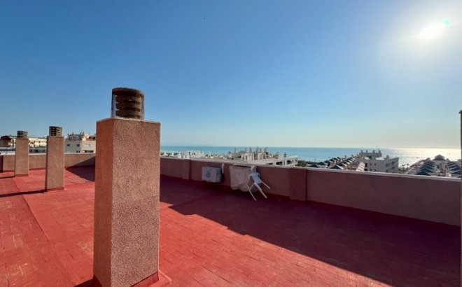 Resale - Apartment -
La Mata - Costa Blanca