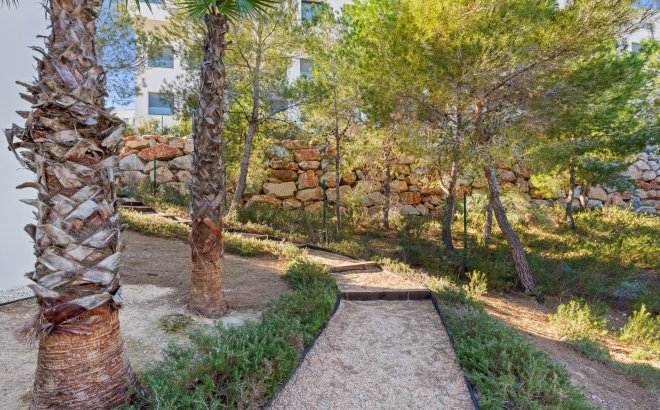 Resale - Villa -
Dehesa de Campoamor - Costa Blanca