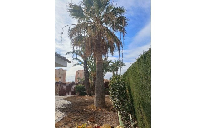 Resale - Villa -
Orihuela Costa - Campoamor