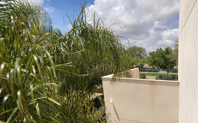 Revente - Semi Detached -
Pilar de la Horadada - Costa Blanca