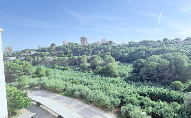 Resale - Apartment -
Orihuela Costa - Campoamor