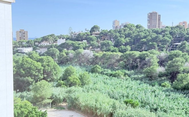 Resale - Apartment -
Orihuela Costa - Campoamor