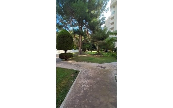 Resale - Apartment -
Orihuela Costa - Campoamor