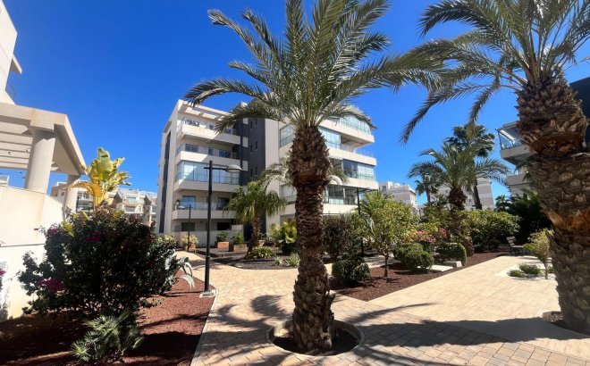 Resale - Apartment -
Los Dolses - Inland