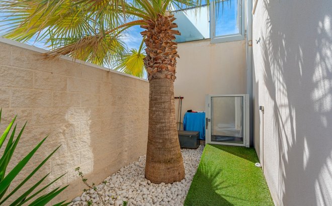 Resale - Villa -
Benijofar - Costa Blanca