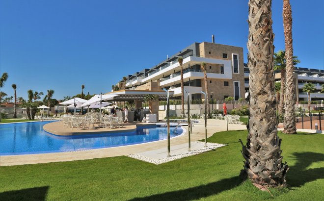Resale - Apartment -
Playa Flamenca - Costa Blanca