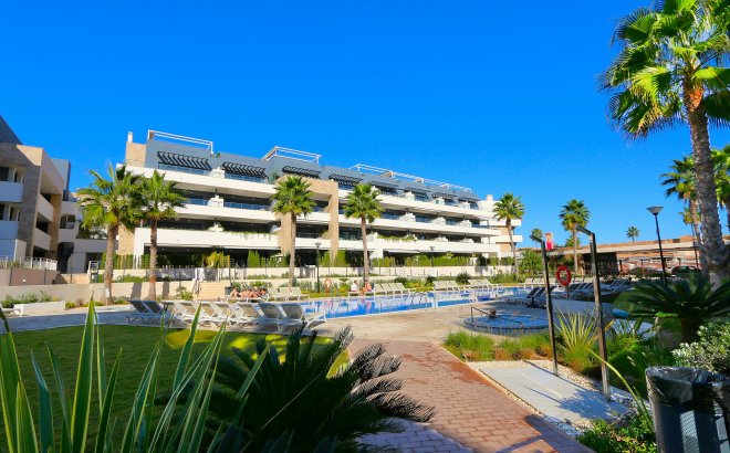 Resale - Apartment -
Playa Flamenca - Costa Blanca