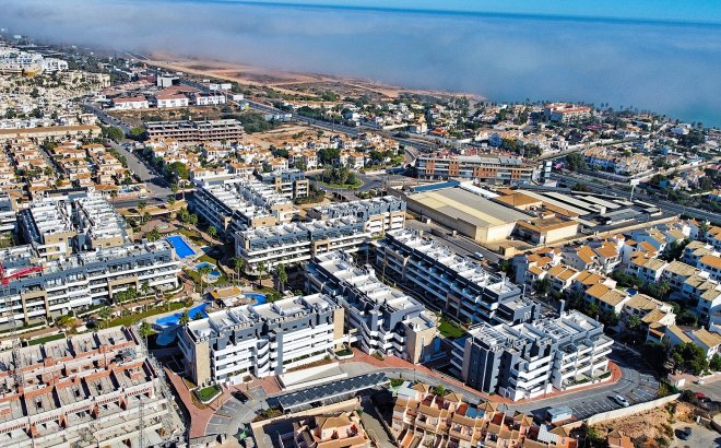 Resale - Apartment -
Playa Flamenca - Costa Blanca