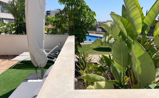 Resale - Apartment -
Los Dolses - Costa Blanca