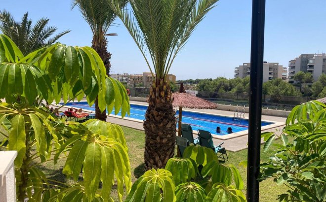 Resale - Apartment -
Los Dolses - Costa Blanca