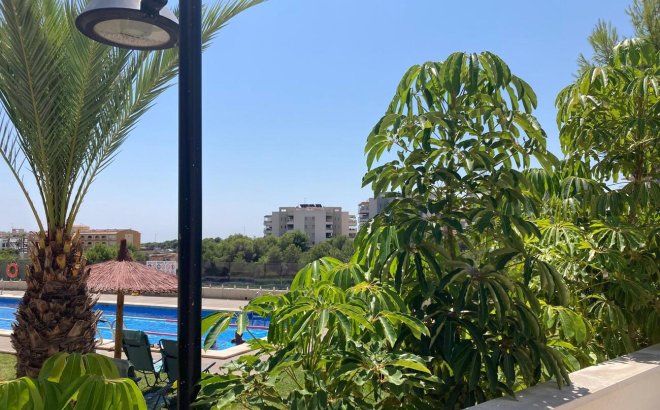 Resale - Apartment -
Los Dolses - Costa Blanca