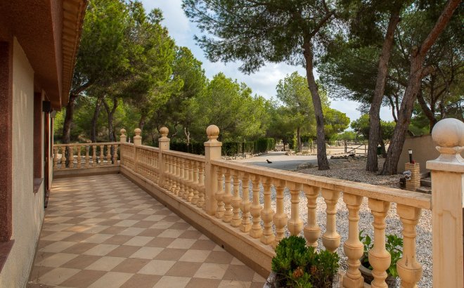Resale - Country House -
Torremendo - Costa Blanca