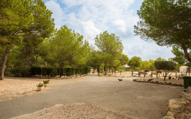 Resale - Country House -
Torremendo - Costa Blanca