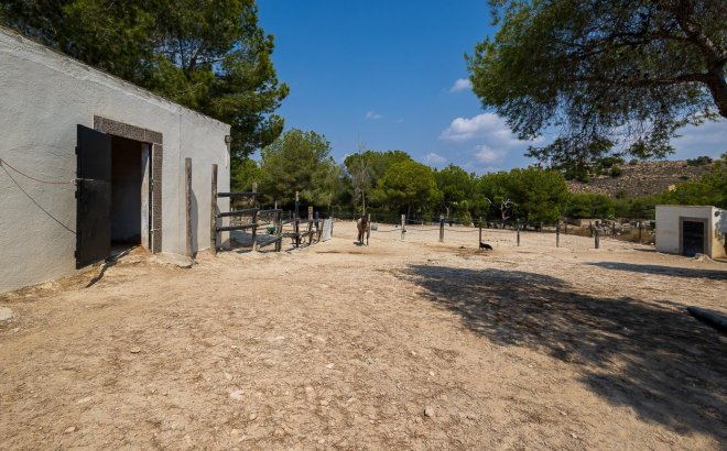 Resale - Country House -
Torremendo - Costa Blanca