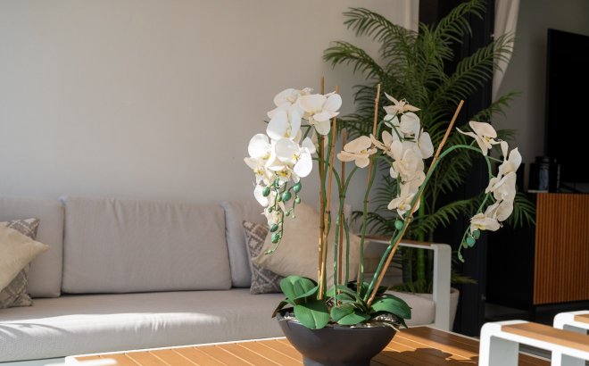 Resale - Penthouse -
Orihuela Costa - Costa Blanca