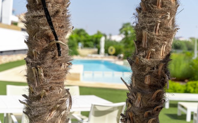 Resale - Penthouse -
Orihuela Costa - Costa Blanca