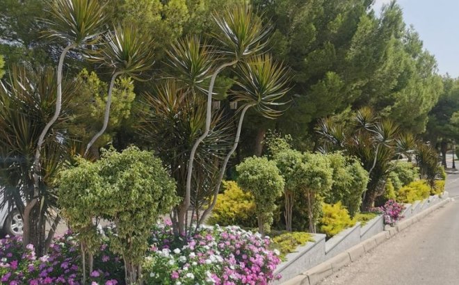 Herverkoop - Appartement -
Orihuela Costa - Costa Blanca