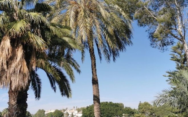 Herverkoop - Appartement -
Orihuela Costa - Costa Blanca