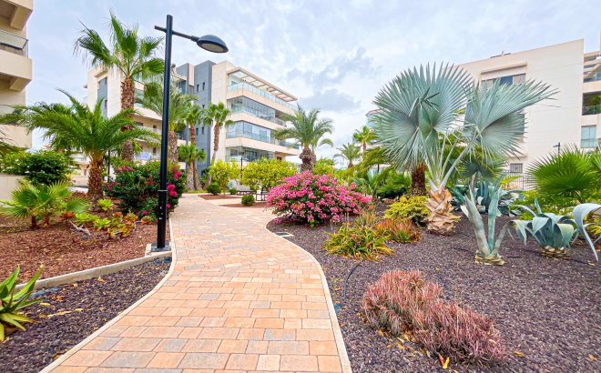 Resale - Apartment -
Orihuela Costa - Costa Blanca