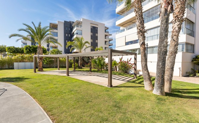 Resale - Apartment -
Orihuela Costa - Costa Blanca